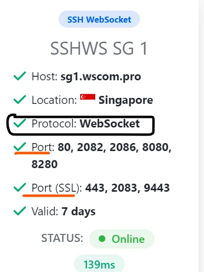 SSH protocol websocket