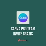 canva pro team invite